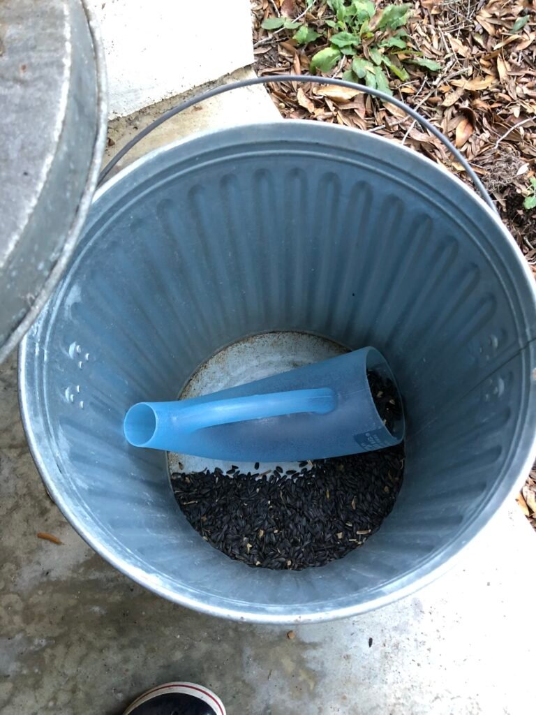Bird seed container and scoop