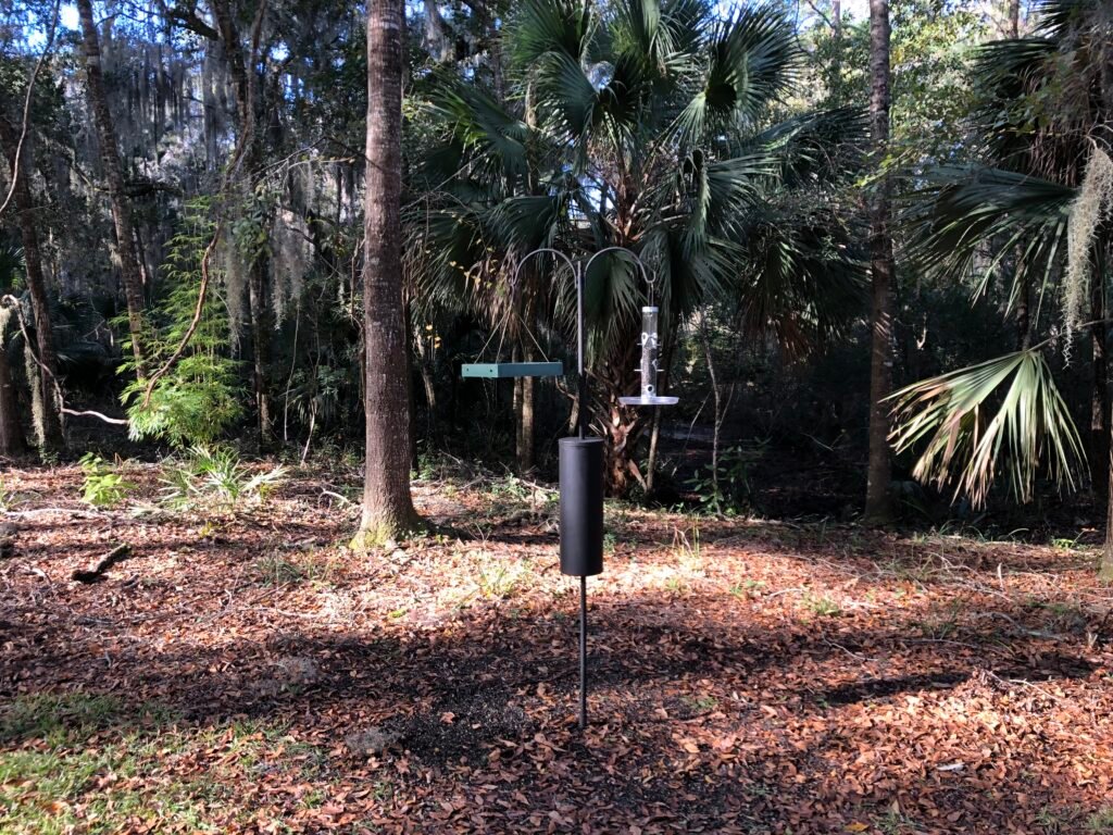 Best bird feeder setup beginner