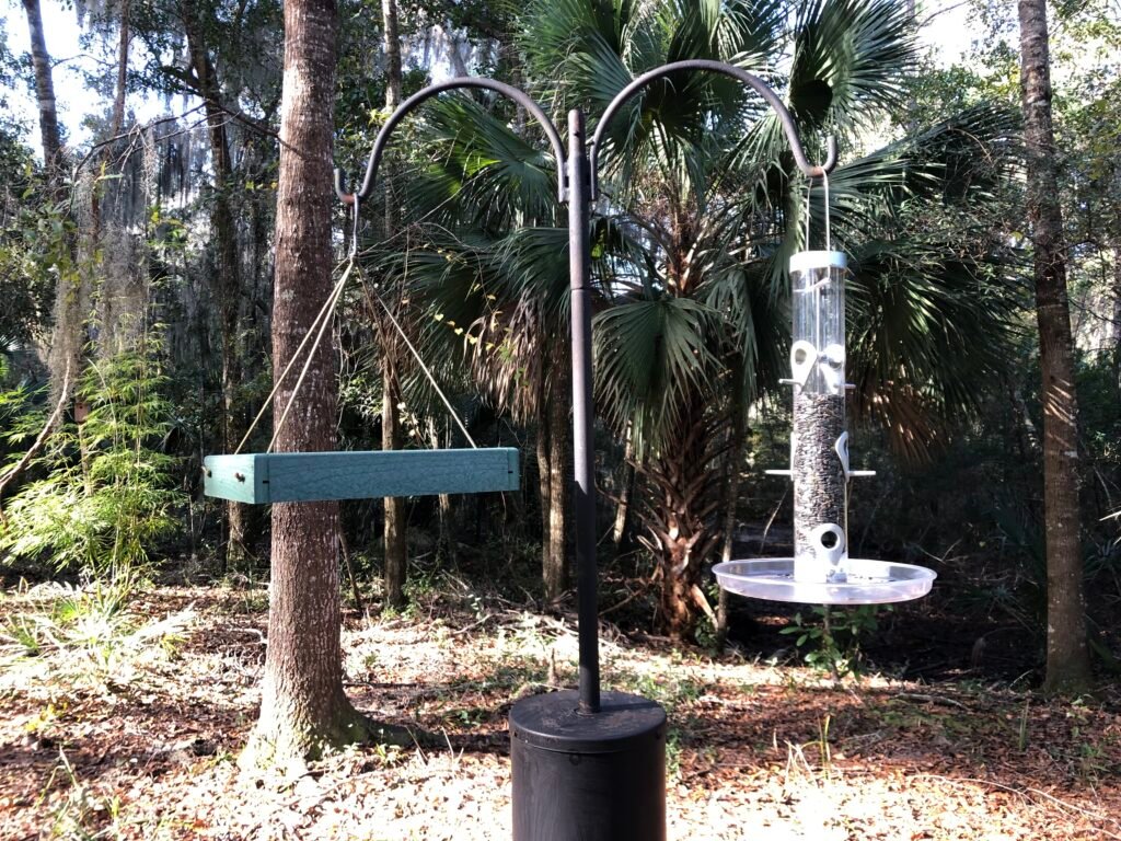 Best beginner bird feeder setup