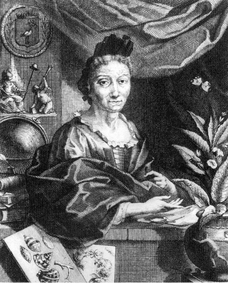 Maria Merian portrait