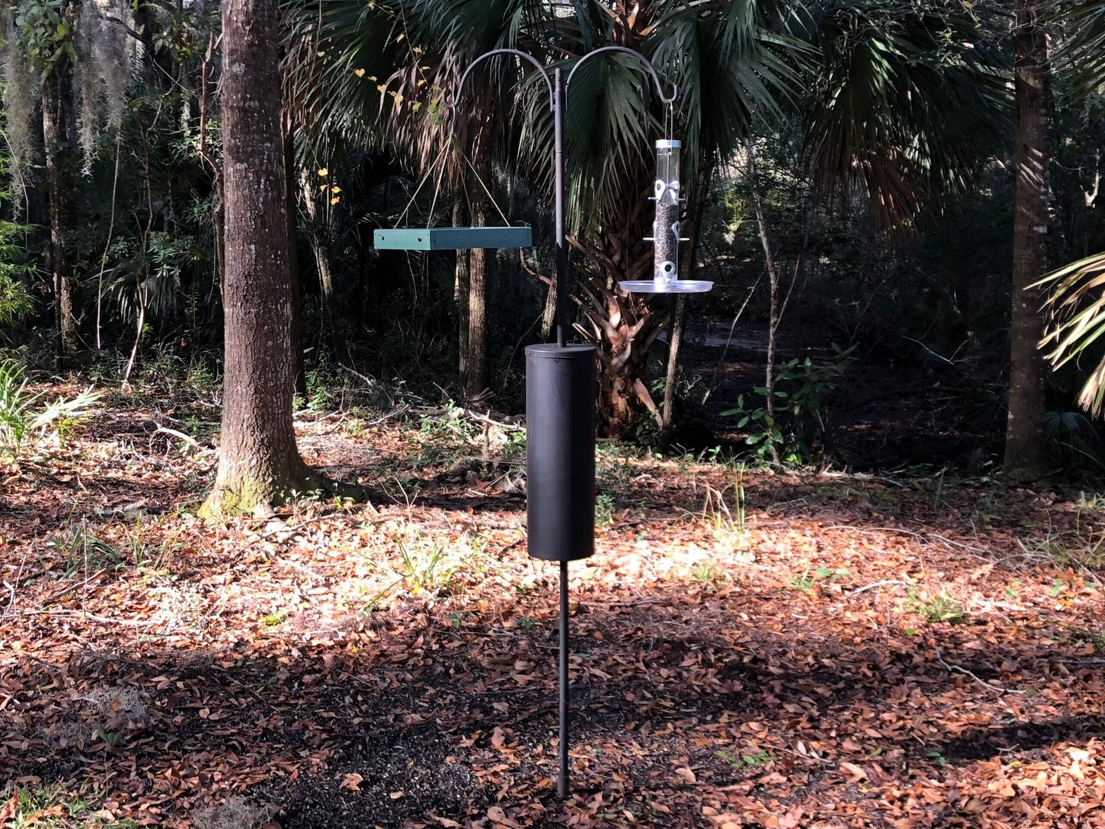 Bird feeder setup